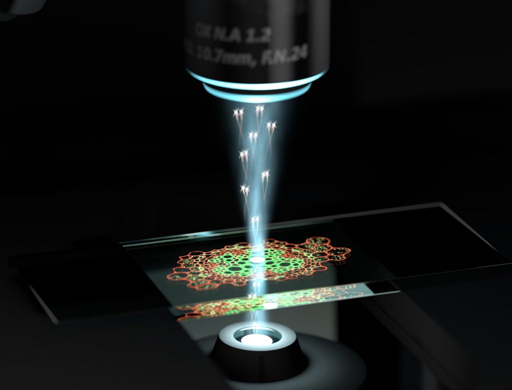 Para peneliti telah menciptakan mikroskop kuantum yang dapat melihat hal yang mustahil