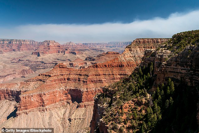 Para peneliti di University of Colorado percaya bahwa gangguan tektonik yang disebabkan oleh pecahnya sebuah superbenua kuno mendistorsi Grand Canyon dan menciptakan 'celah' miliaran tahun dalam catatan geologisnya.