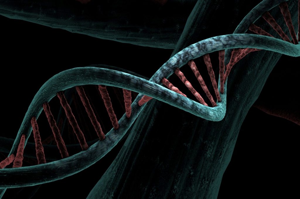 Menjelaskan materi gelap dalam DNA manusia