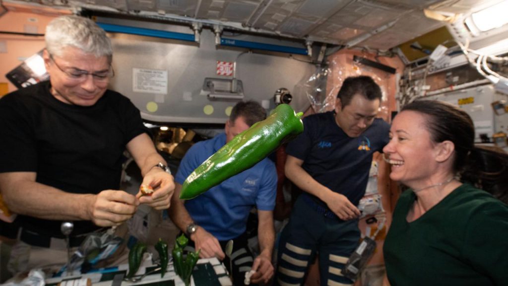 Astronot NASA memetik paprika di luar angkasa untuk pertama kalinya di Stasiun Luar Angkasa Internasional