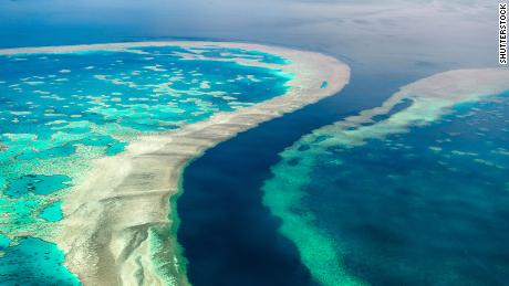 Great Barrier Reef dalam bahaya & # 39;  kata PBB.  Australia tidak setuju