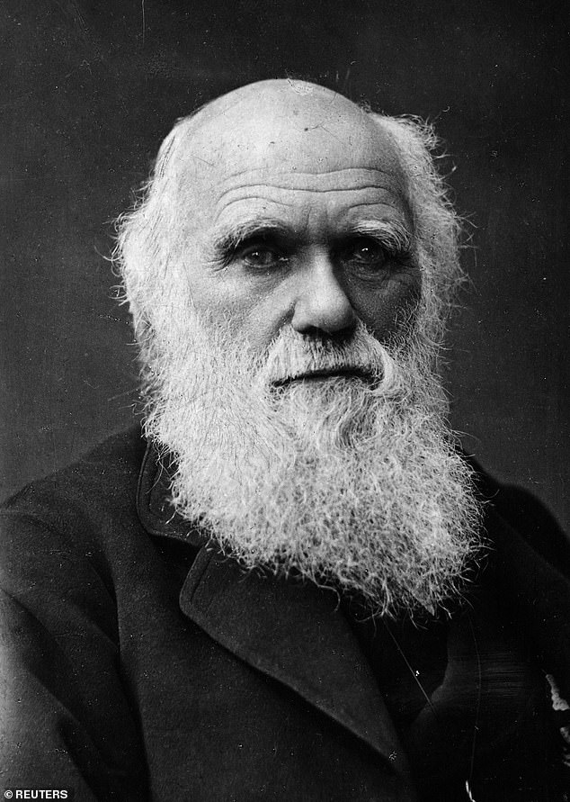 Dalam sepucuk surat kepada teman terdekatnya, ahli botani dan penjelajah Dr. Joseph Hooker, Charles Darwin (foto) menulis: ``Evolusi yang cepat sejauh yang kita dapat menilai semua tumbuhan tingkat tinggi di zaman geologi modern adalah teka-teki yang suram.