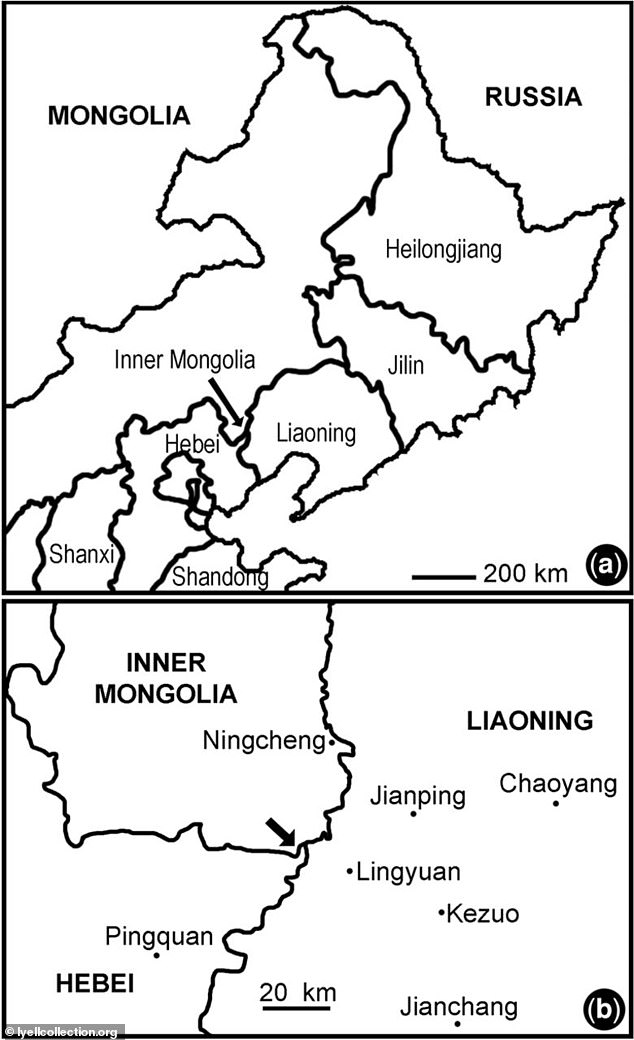 Gambar menunjukkan peta lokasi Mongolia Dalam, Cina, tempat ditemukannya fosil