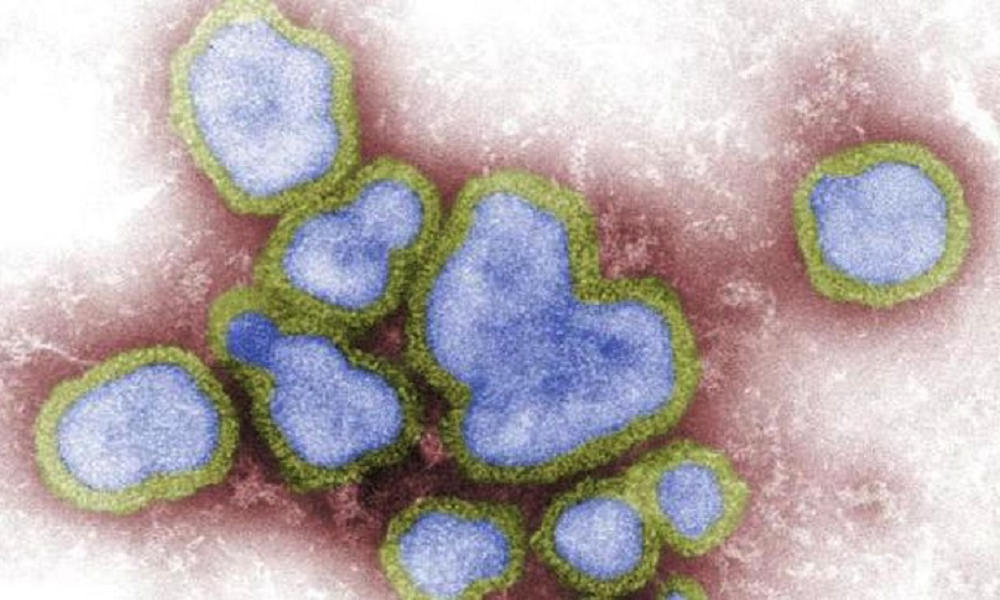 China laporkan 2 kasus baru flu burung H5N6 pada manusia