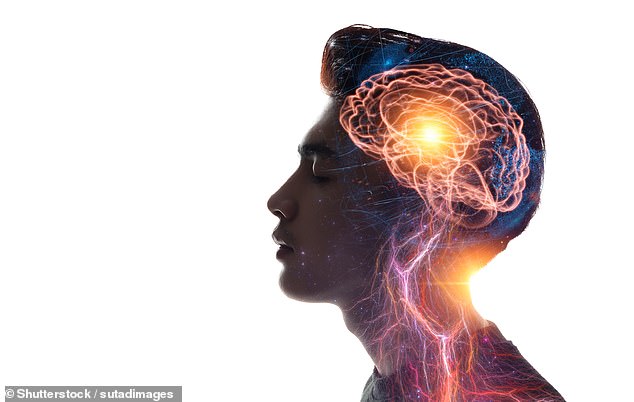 Para peneliti dari University of California, Berkley, telah menemukan bahwa otak manusia menunjukkan kepada kita 15 detik 'di masa lalu' daripada mencoba memperbarui visi kita secara real-time (stock image)