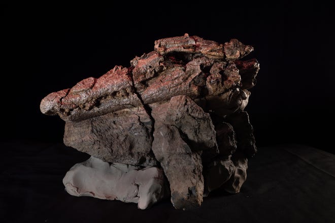 Fosil berusia 95 juta tahun dari nenek moyang awal buaya dan buaya.