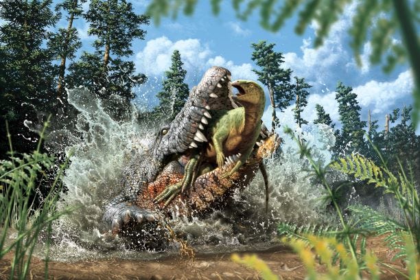 Rekonstruksi seniman dari Confractosuchus melahap acara ornithopod.