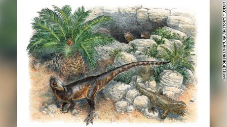 Dinky adalah yang terkecil dari jenisnya ketika menjelajahi Wales 200 juta tahun yang lalu