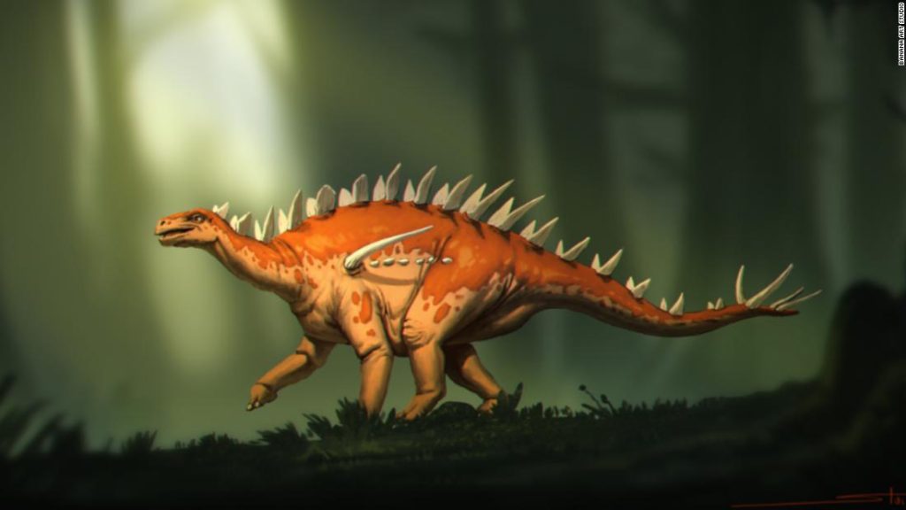 Fosil Stegosaurus yang ditemukan memiliki 'campuran fitur yang aneh'