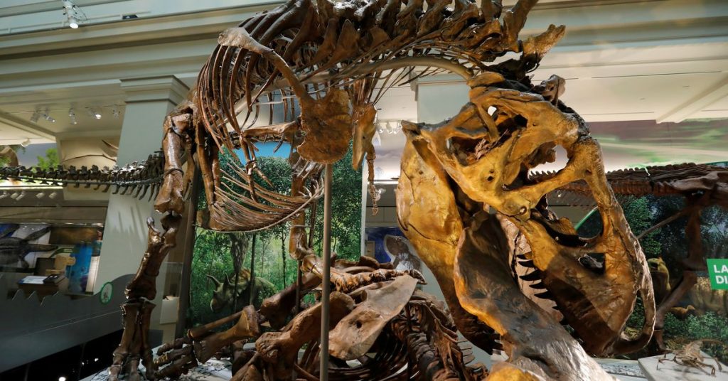 Para ilmuwan menyarankan bahwa Tyrannosaurus memiliki tiga spesies, bukan hanya 'Rex'