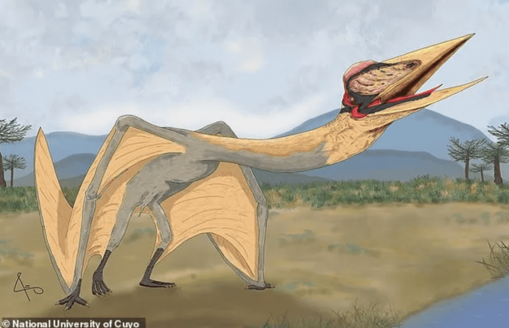 Fosil purba reptil terbang raksasa ditemukan di Argentina