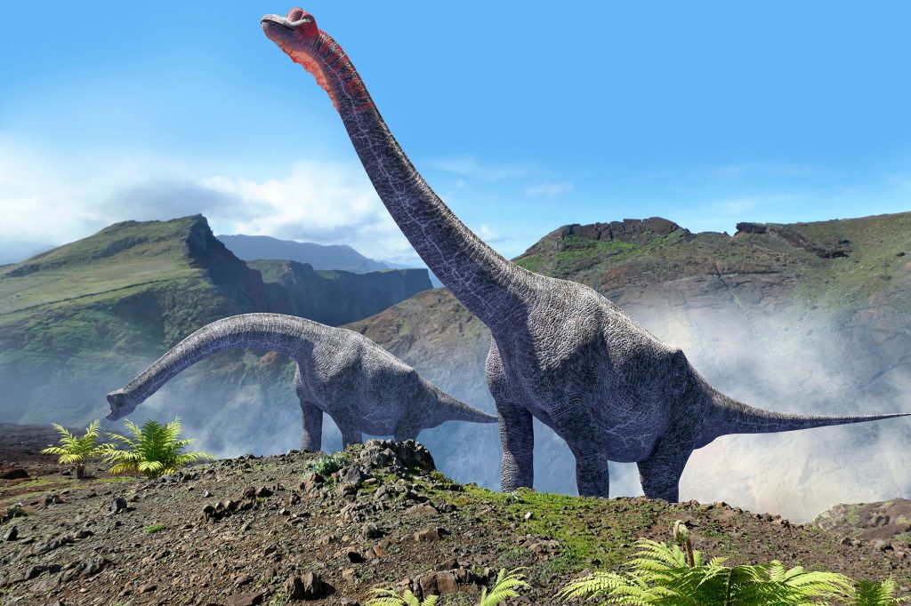 Kerangka itu mungkin milik dinosaurus sauropoda yang menjelajahi wilayah Portugal modern 160-100 juta tahun yang lalu. 
