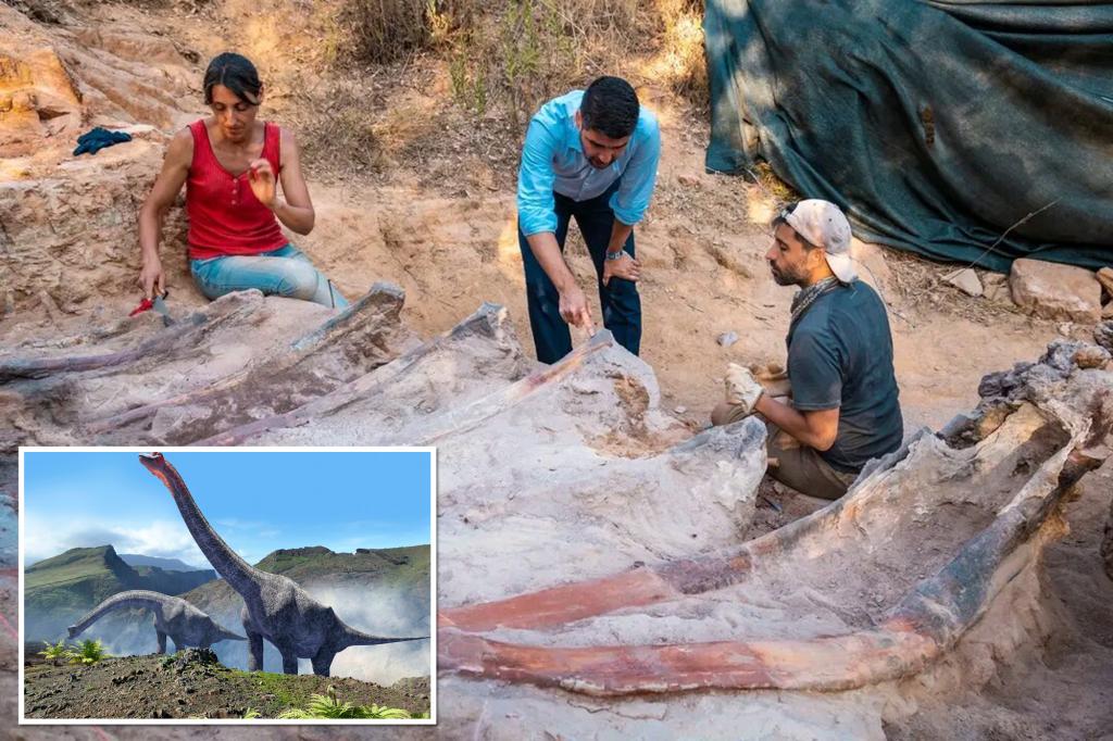 Kerangka dinosaurus setinggi 82 kaki ditemukan di halaman belakang seorang pria di Portugal