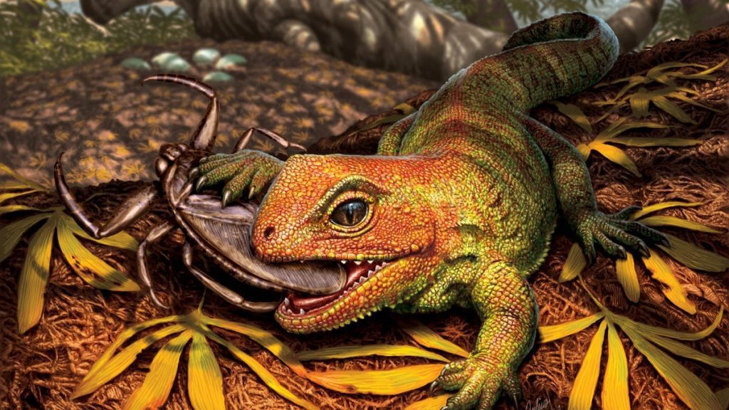 Reptil purba ini bukanlah kadal.  Jangan menyebutnya kadal