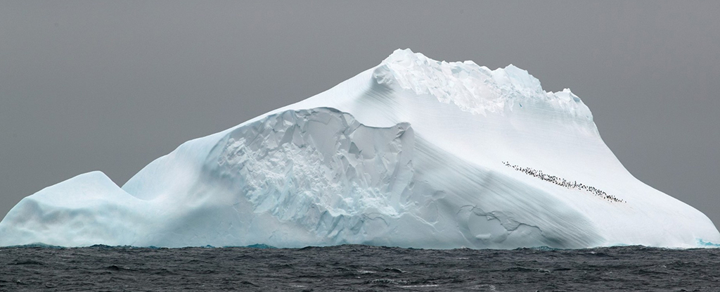 DNA purba ditemukan 1 juta tahun lalu di Antartika: ScienceAlert