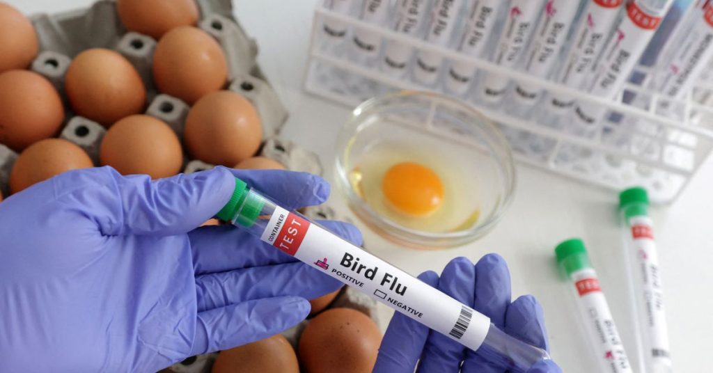 Chili mendeteksi kasus pertama flu burung pada seseorang