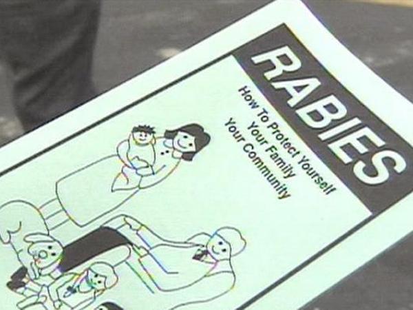 Wake County mengeluarkan pemberitahuan rabies setelah 5 orang di lingkungan Wake Forest dinyatakan positif