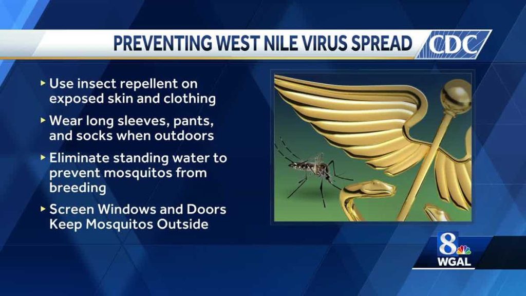 Virus West Nile telah terdeteksi di Lembah Susquehanna
