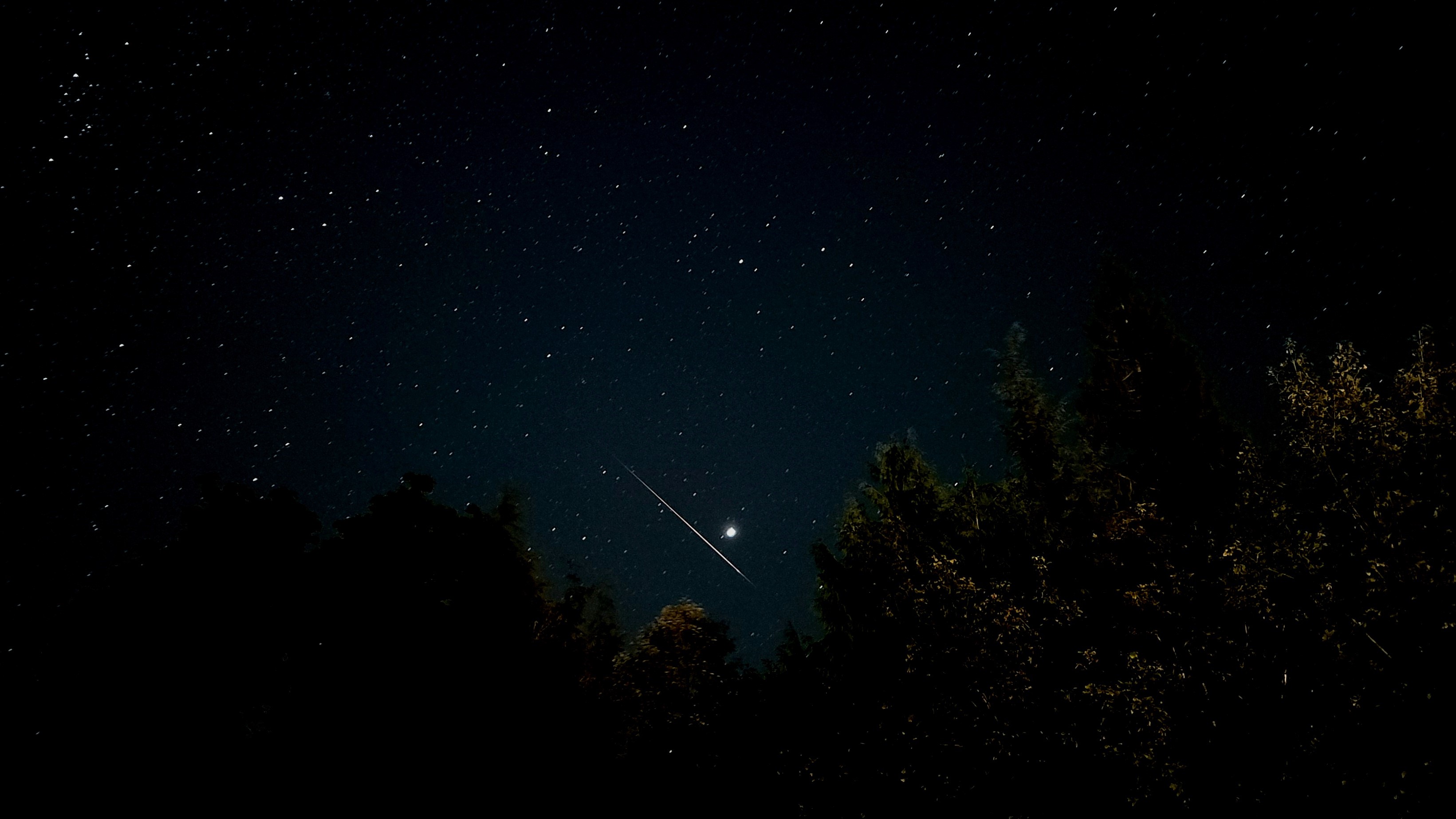 Sebuah meteor menonjol melintas di langit di bawah planet Jupiter yang cerah