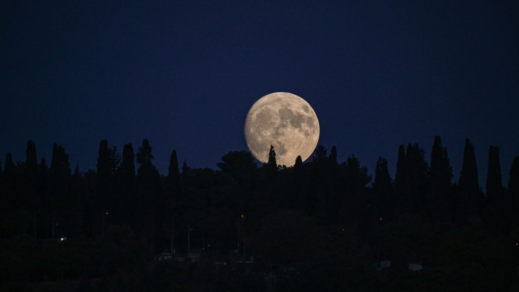 A nearly full moon rises above a treeline
