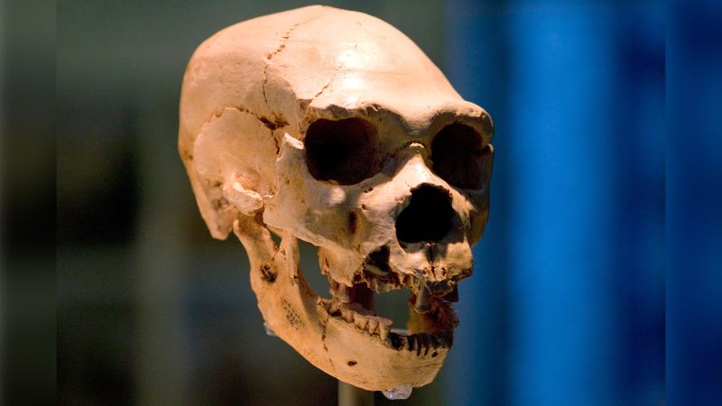Para ilmuwan mungkin telah memecahkan misteri mengenai asal usul Neanderthal