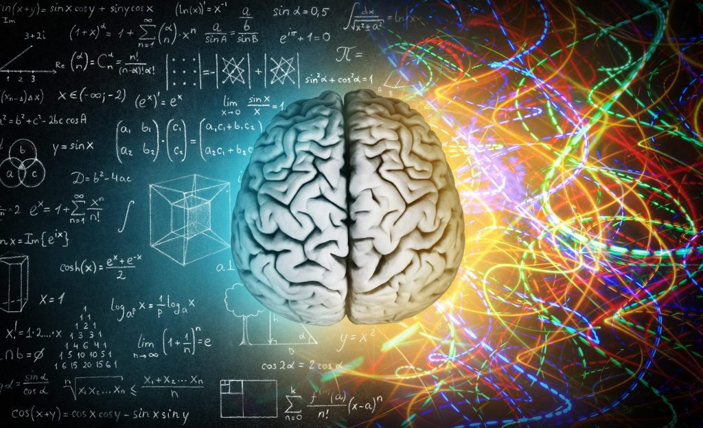 Bagaimana otak menyimpan memori dan informasi?  Bumi.com