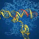 Algoritma baru menemukan banyak enzim penyunting gen dalam DNA lingkungan
