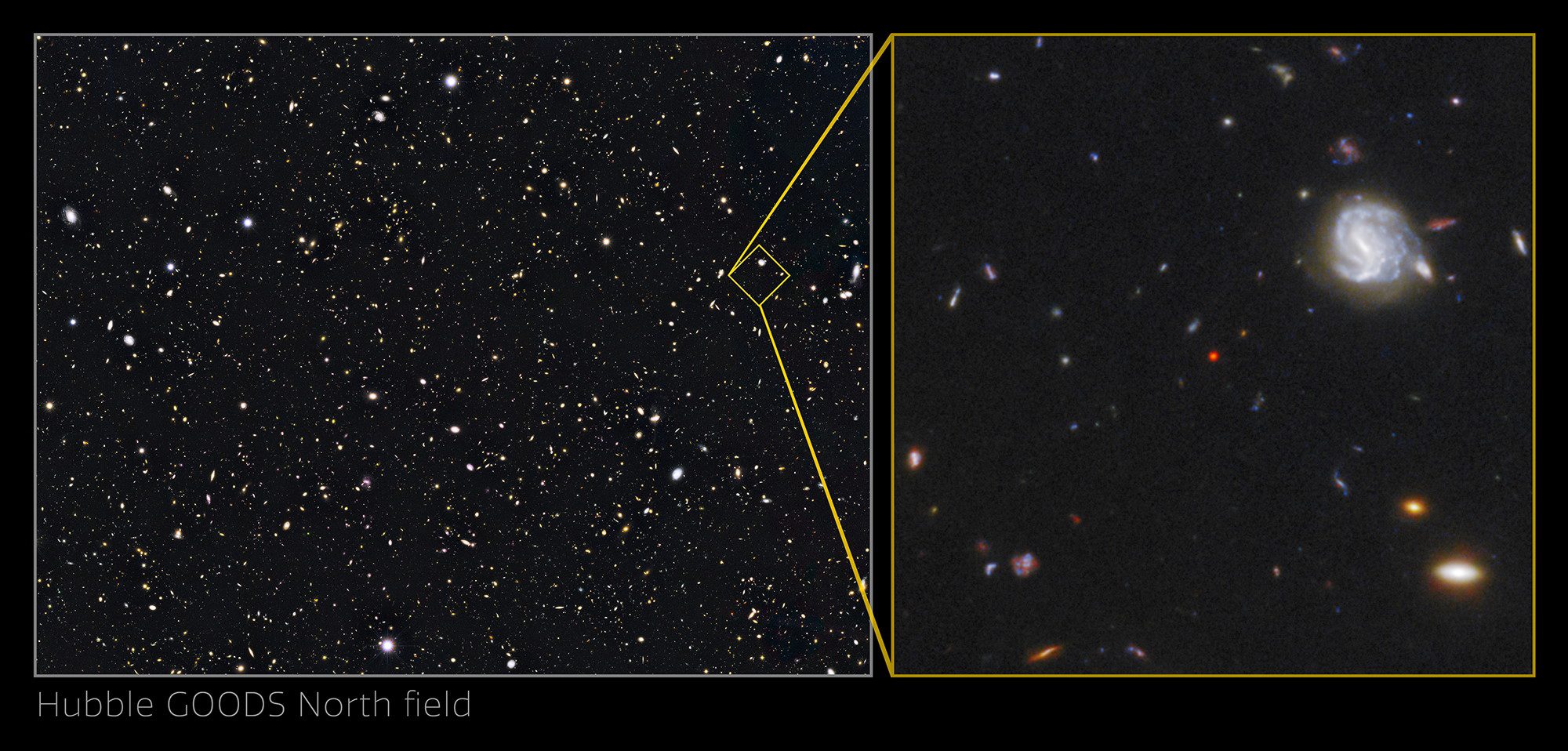 Galaksi quasar hibrida