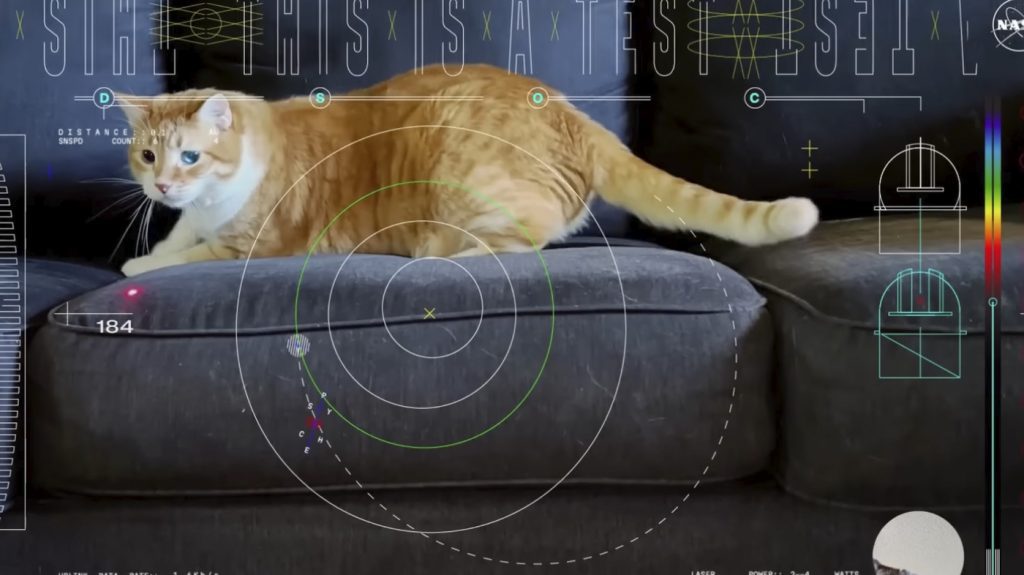 Video kucing ini luar biasa, dan NASA menggunakan laser untuk mengirimkannya ke Bumi: NPR