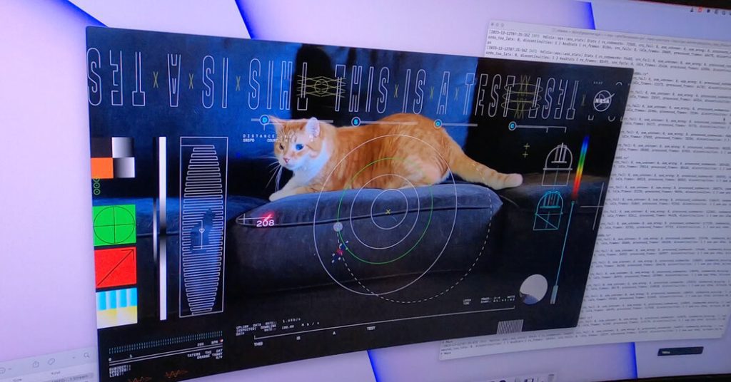 NASA menyiarkan video kucing dari luar angkasa
