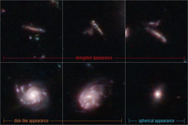 Klasifikasi 3D galaksi jauh dalam survei web CEERS