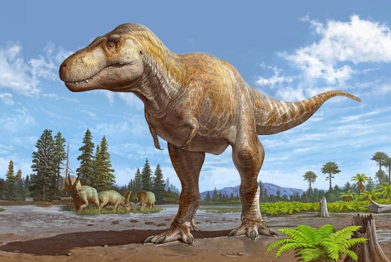 Rekonstruksi Tyrannosaurus macrinsis