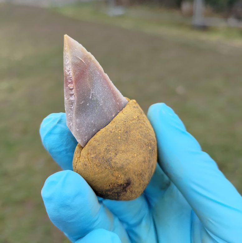 Sebuah perkakas batu menempel di gagangnya