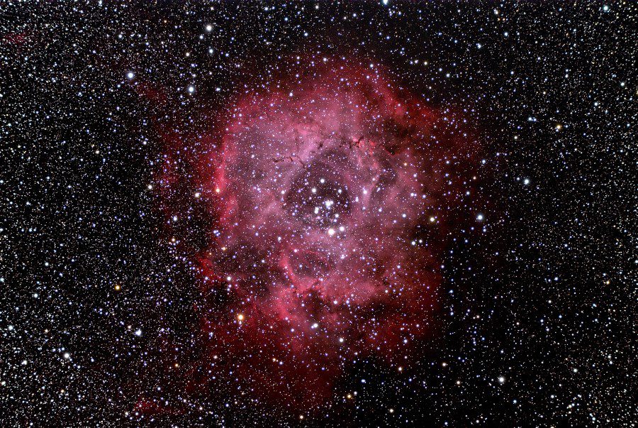 Nebula roset 