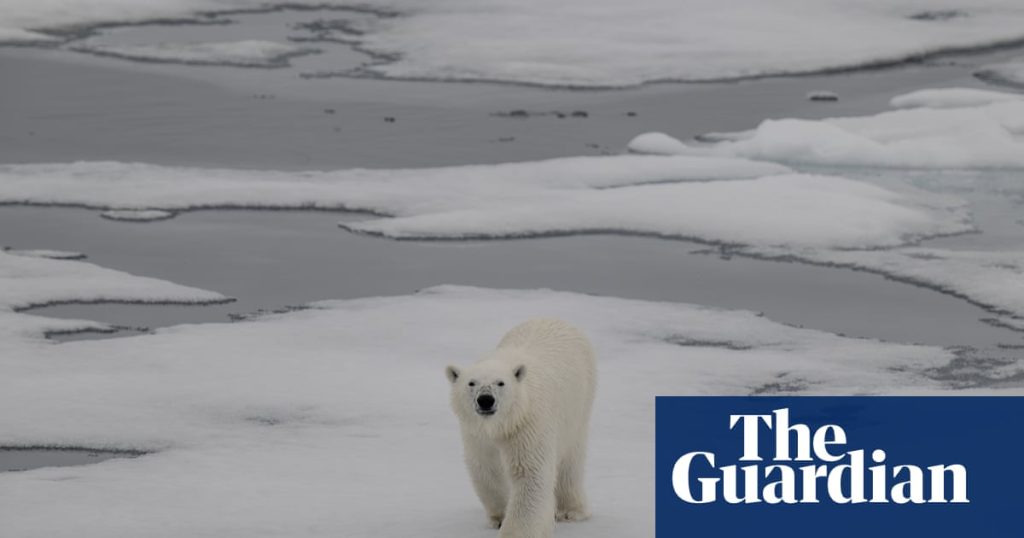 Para ilmuwan mengatakan musim panas tanpa es di Arktik mungkin terjadi dalam dekade mendatang  kutub Utara