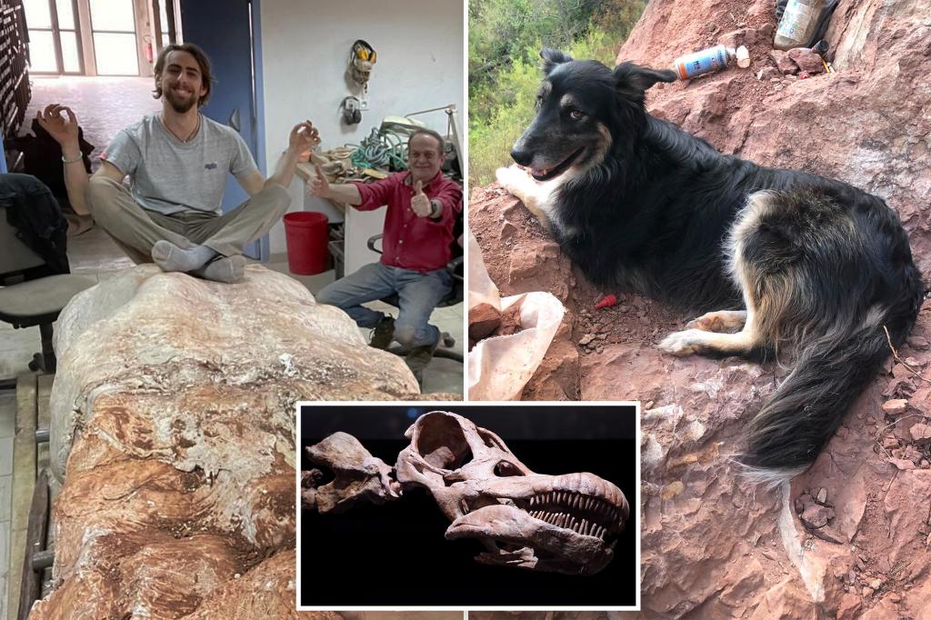 Seorang pria Perancis menemukan fosil dinosaurus saat berjalan-jalan dengan anjingnya