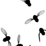 Pencitraan berkecepatan tinggi dan kecerdasan buatan membantu kita memahami cara kerja sayap serangga