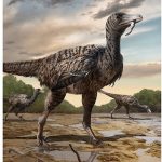 Jejak kaki di Tiongkok menunjukkan megaraptor baru yang berkeliaran bersama dinosaurus