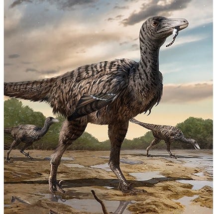 Para ilmuwan yakin mereka mungkin telah menemukan bukti Megaraptor di Tiongkok, kerabat dinosaurus Velociraptor, yang berukuran dua hingga tiga kali lipat.