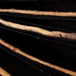 Studi: Manusia purba membuat senjata kayu yang mematikan 300.000 tahun lalu