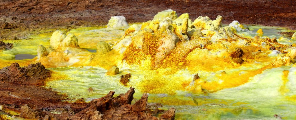 Bentuk kehidupan ketiga menghasilkan energi dengan cara yang 'luar biasa', para ilmuwan menemukan: ScienceAlert