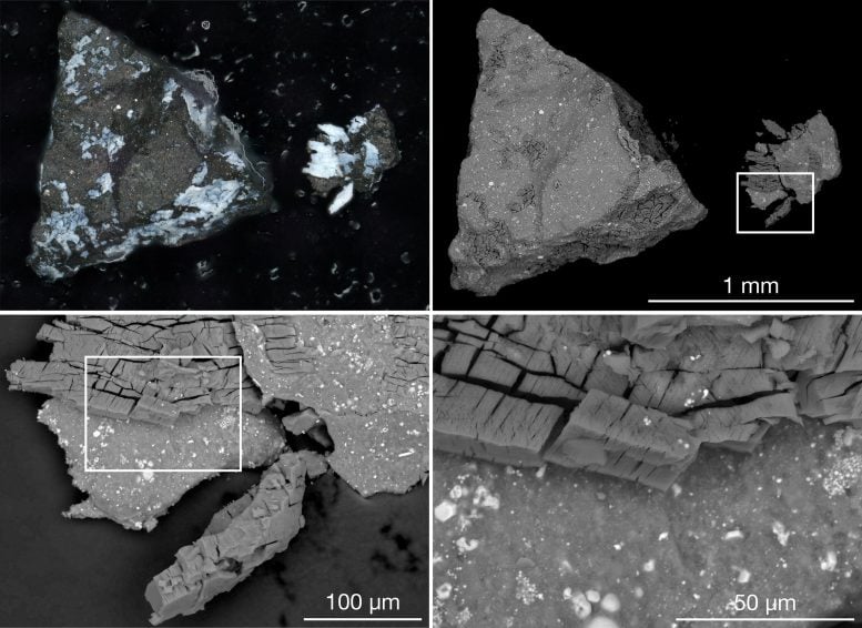 Gambar sampel mikroskopis asteroid Bennu