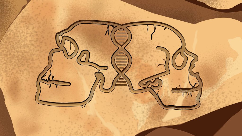 Penemuan baru mengungkap hubungan kuno antara Neanderthal dan Neanderthal