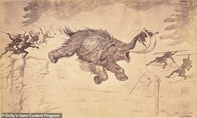 Para ilmuwan telah lama memperdebatkan mengapa mammoth berbulu, sloth raksasa, dan 44 herbivora raksasa lainnya punah sekitar 50.000 tahun yang lalu.  Di atas, ukiran karya Ernest Grace yang menggambarkan manusia prasejarah sedang berburu mamut berbulu