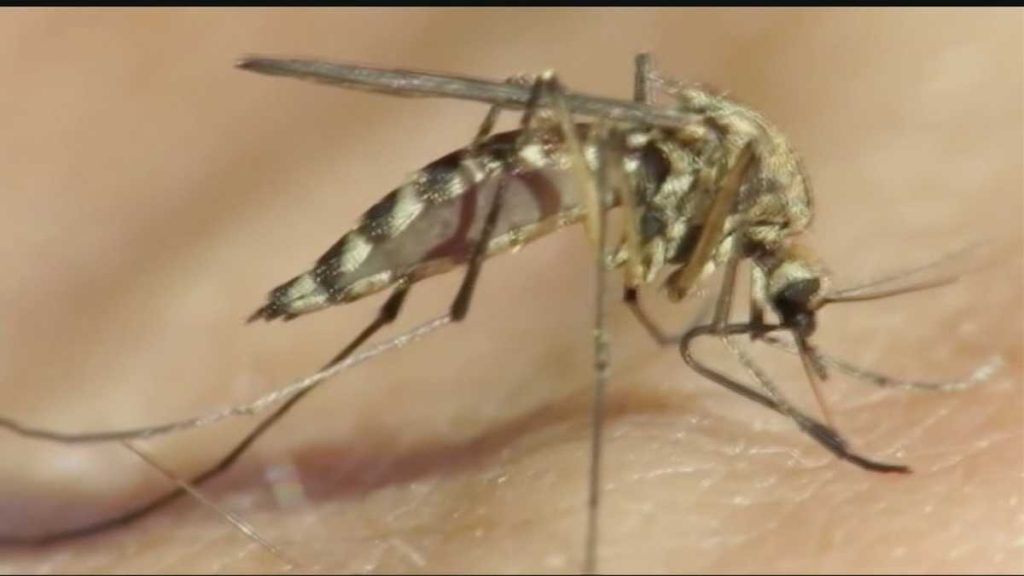 Seorang warga Oklahoma meninggal setelah terinfeksi virus West Nile, kata Departemen Kesehatan Oklahoma