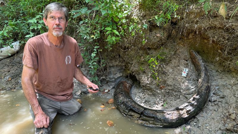 Penemuan gading mamut Zaman Es di Mississippi