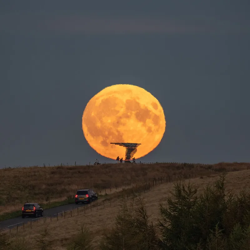 Gambar Harvest Moon pada 18 September 2024 oleh Lee Mansfield di atas patung Singing Ringing Tree, Burnley, Lancashire, Inggris. Singing Chime Tree adalah patung akustik bertenaga angin yang menyerupai pohon yang terletak di lanskap Pennine Hills yang menghadap Burnley, Lancashire.