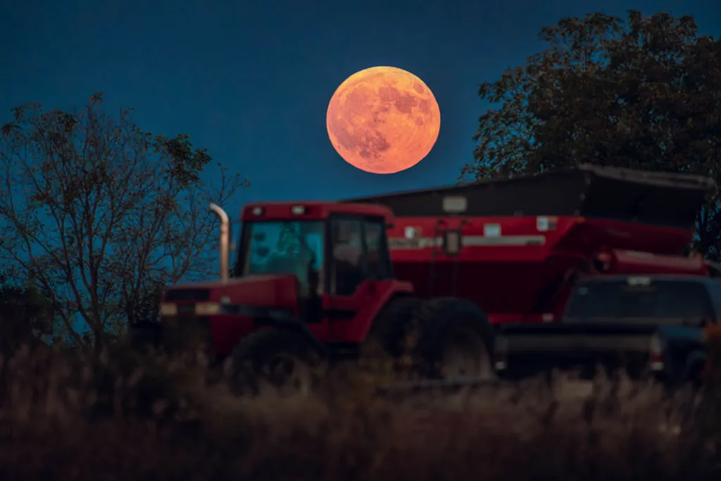 Bulan panen yang sesungguhnya! Supermoon muncul saat panen kedelai di Malco Farms di Monroe, Wisconsin, 17 September 2024. Foto oleh Ross Harried/NoorPhoto via Getty Images