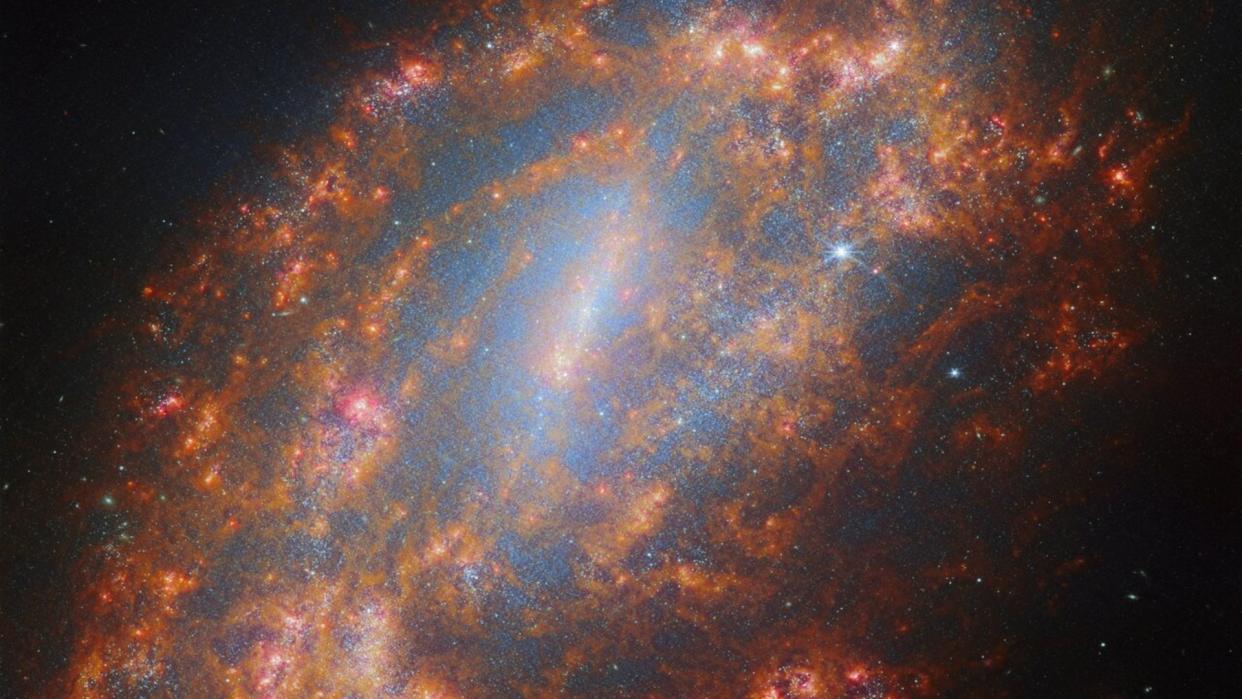 Galaksi spiral berbatang NGC 1559 seperti yang diamati oleh Teleskop Luar Angkasa James Webb NASA, Badan Antariksa Eropa, dan Badan Antariksa Kanada.