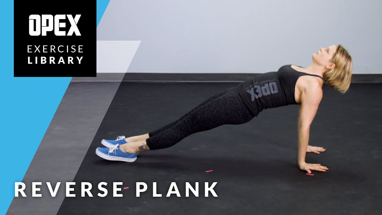 Reverse Plank - Perpustakaan Latihan OPEX - YouTube